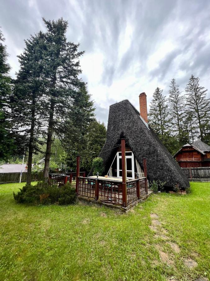 Mountain Getaway Cabin Cheia  Exteriör bild